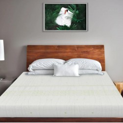 Duroflex Kaya - Chemical Free Natural Latex Mattress Duroflex Kaya - Chemical Free Natural Latex Mattress