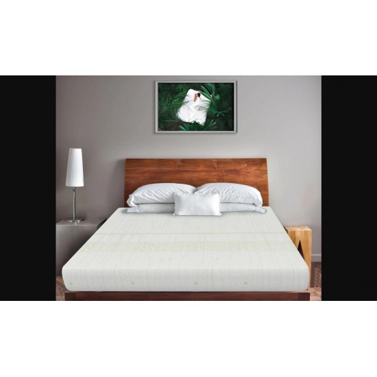 Duroflex Kaya - Chemical Free Natural Latex Mattress