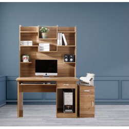 Computer Table with printer table 