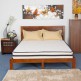 Nilkamal Vibrant Pocket Spring Mattress Nilkamal Vibrant Pocket Spring Mattress