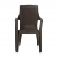 Nilkamal Mystique Plastic Arm Chair