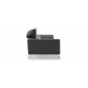 WellFin 2 Seaters Adjustable Sofa ( Grey )