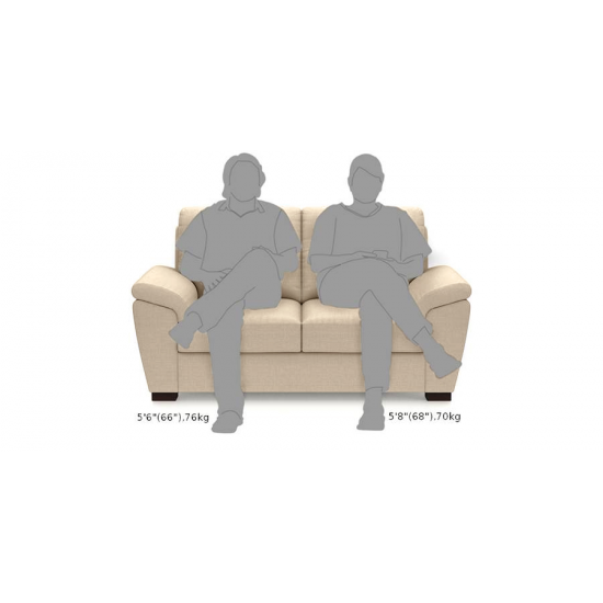 WellFin 2 Seaters Sofa ( Pearl White )