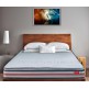 Duroflex Endure - Bonnell Spring Pillow Top Mattress Duroflex Endure - Bonnell Spring Pillow Top Mattress