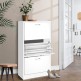 cabinet c6
