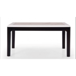 Wellfin 303  Marble top dining set 