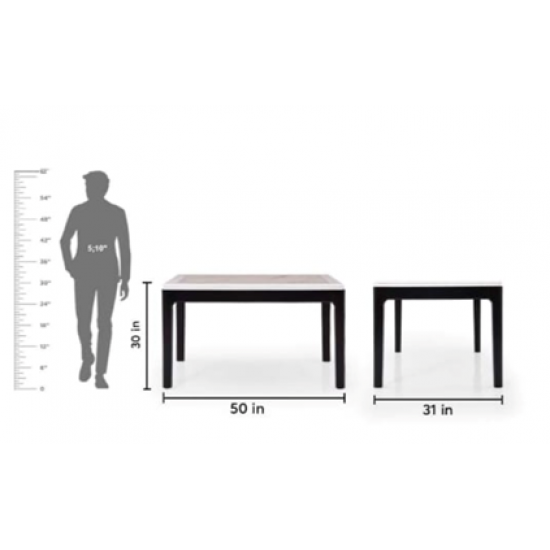 Wellfin 303  Marble top dining set 