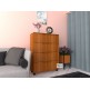 Chest Drawer D5