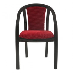 Ornate Plastic Chair With Cushion