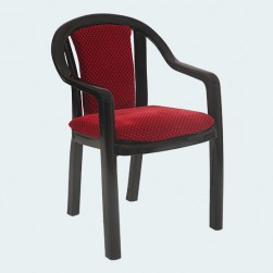 Ornate Plastic Chair With Cushion